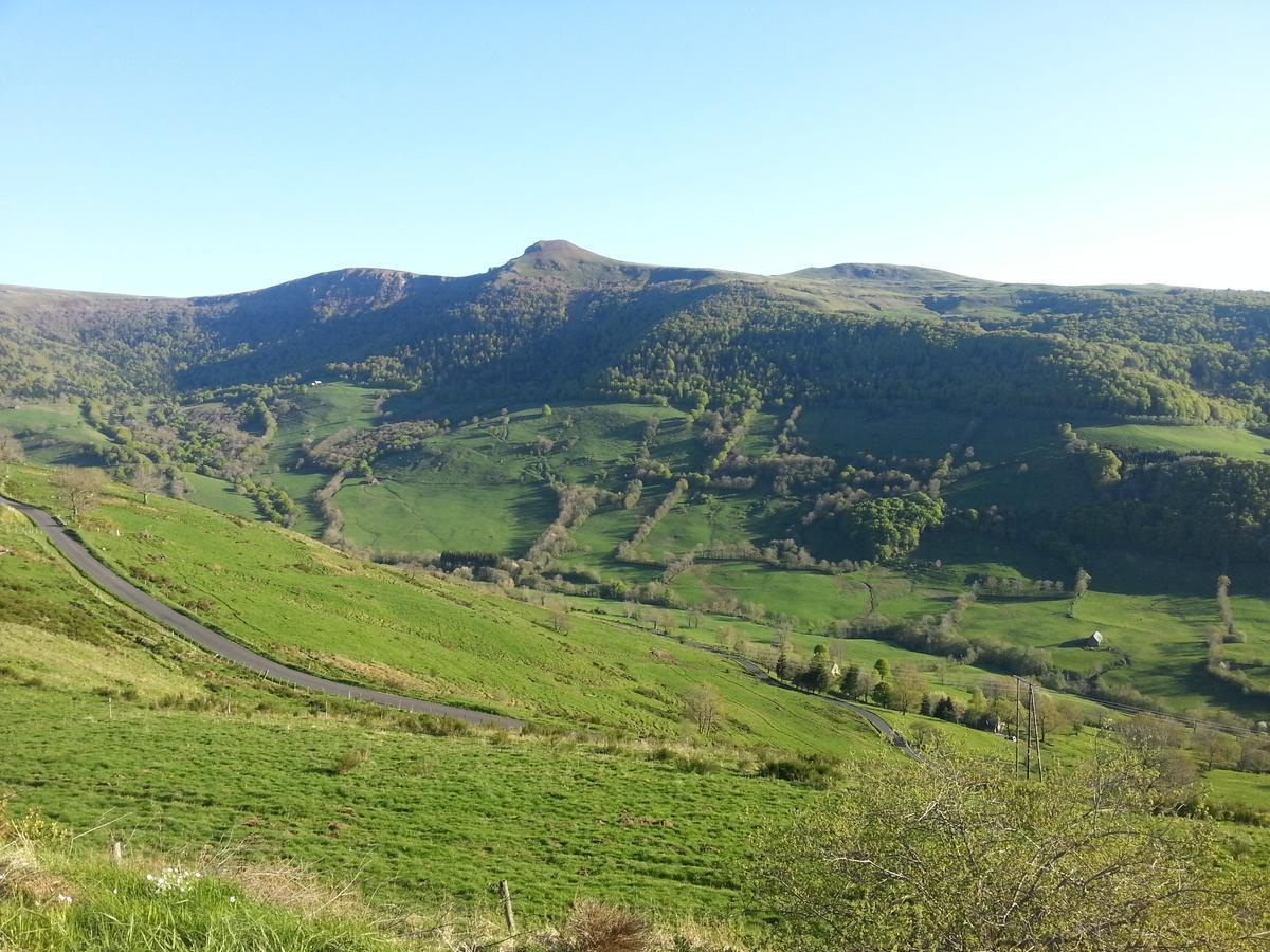 Auberge Du Col De Neronne Hotel Le Falgoux Luaran gambar